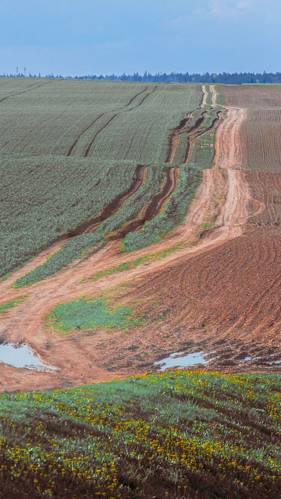 Nature of Belarus