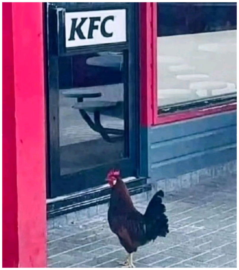 Şeriat ile yönetilmek isteyen kadın