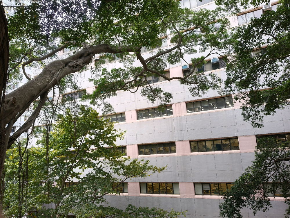 Prince Philip Dental Hospital located (HK)