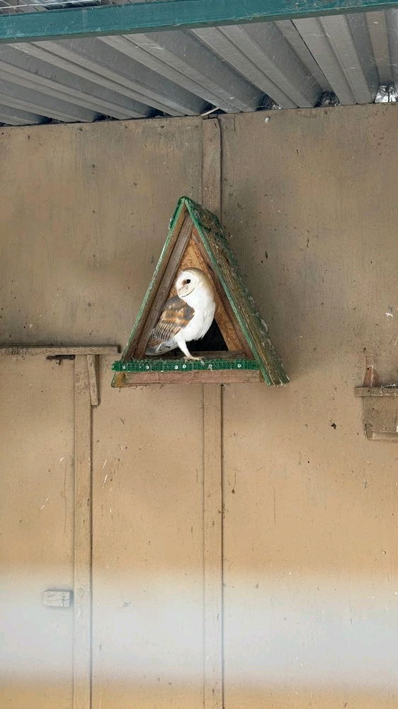 Музей природы при заповеднике Галичья гора