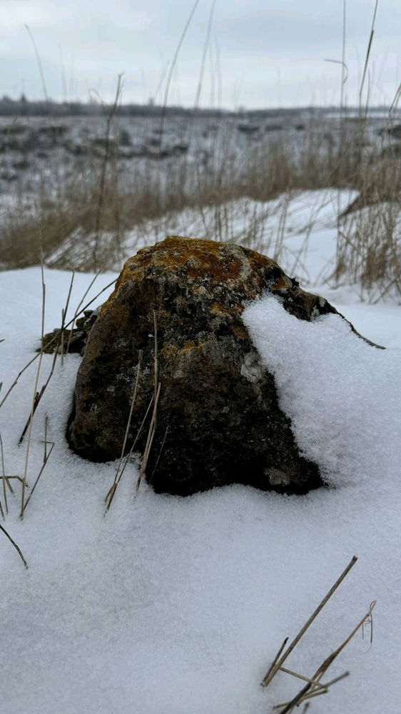 Музей природы при заповеднике Галичья гора