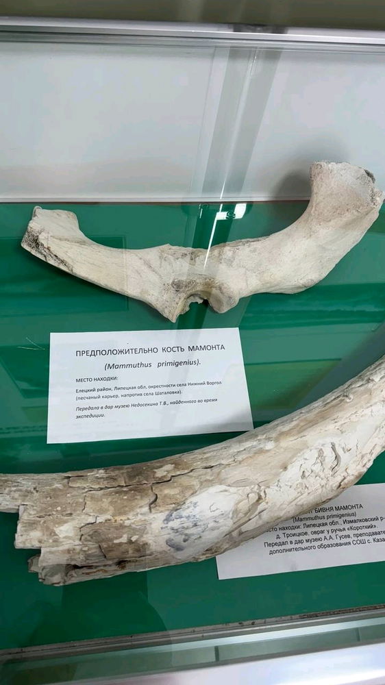 Музей природы при заповеднике Галичья гора
