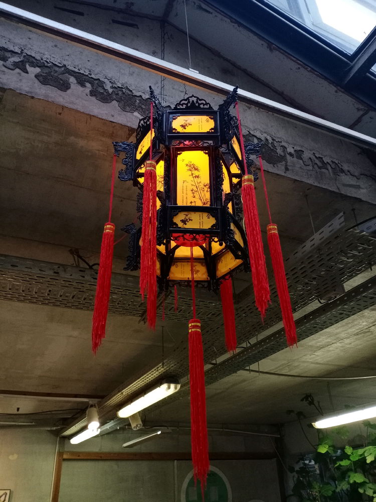 Поднебесная❤️🐉🏮