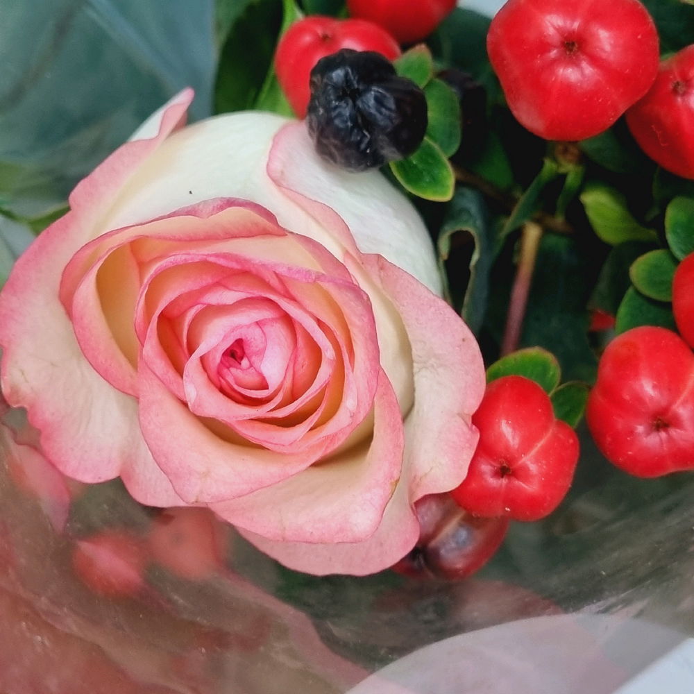Roses for you