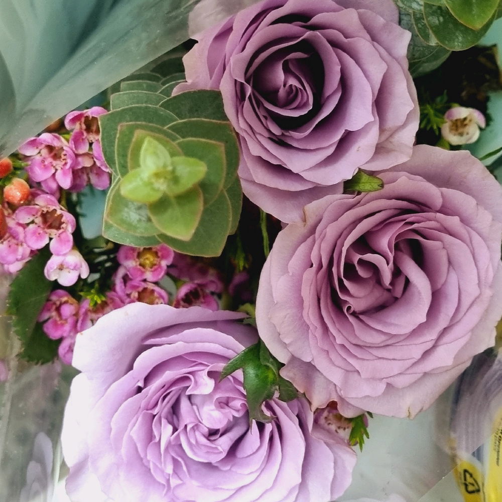 Roses for you