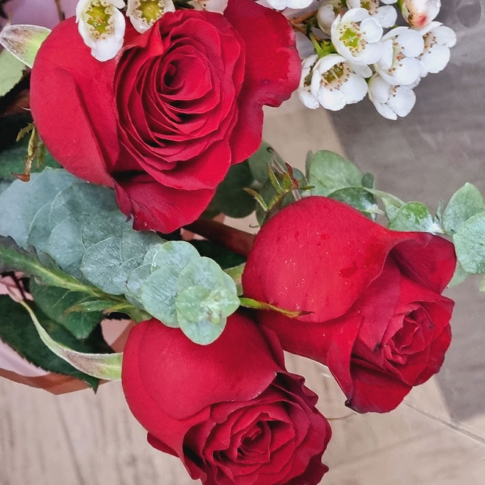Roses for you