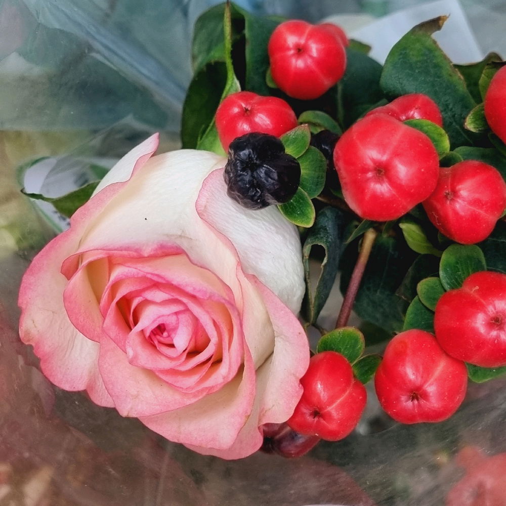 Roses for you