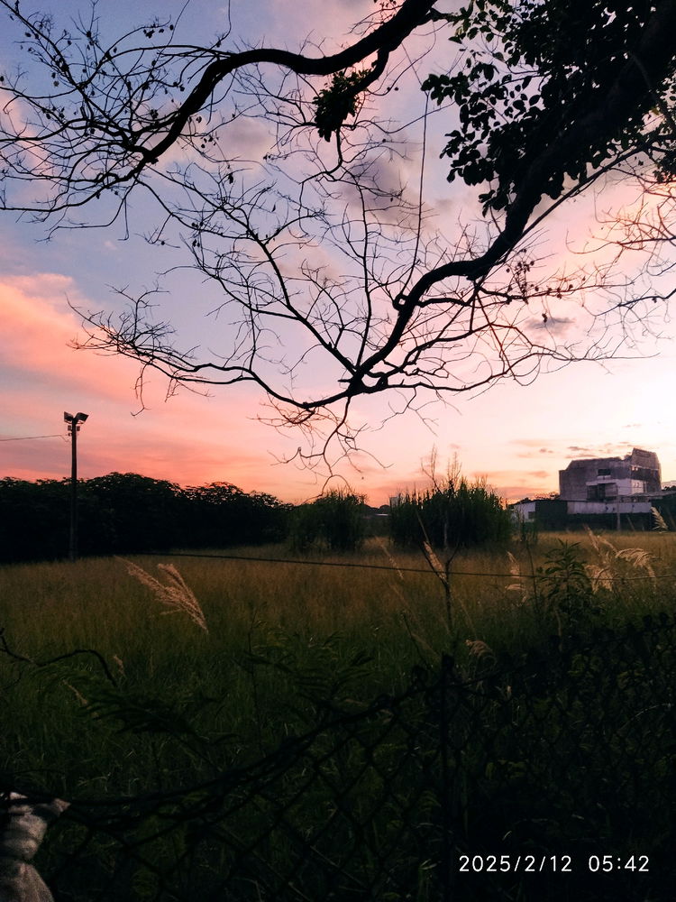 Fotos de alguns dias atrás