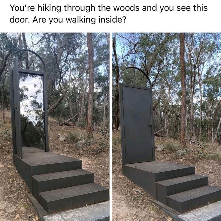 🚪❔️