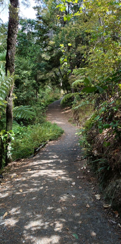 Going through the Henderson Park