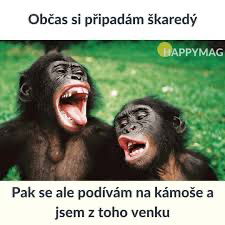 Pojďme se zasmát a ještě víc si vylepšit Pátek 🤣
