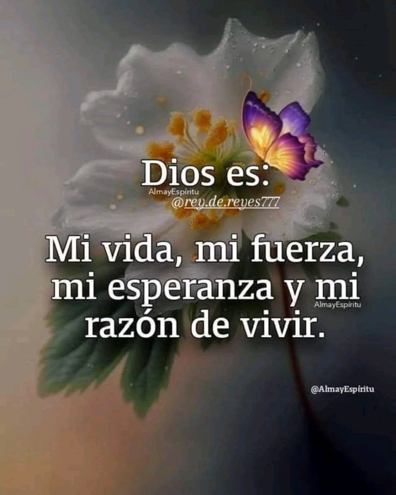 Faith for a Flourishing Friday  Of Hope! 💗🫂