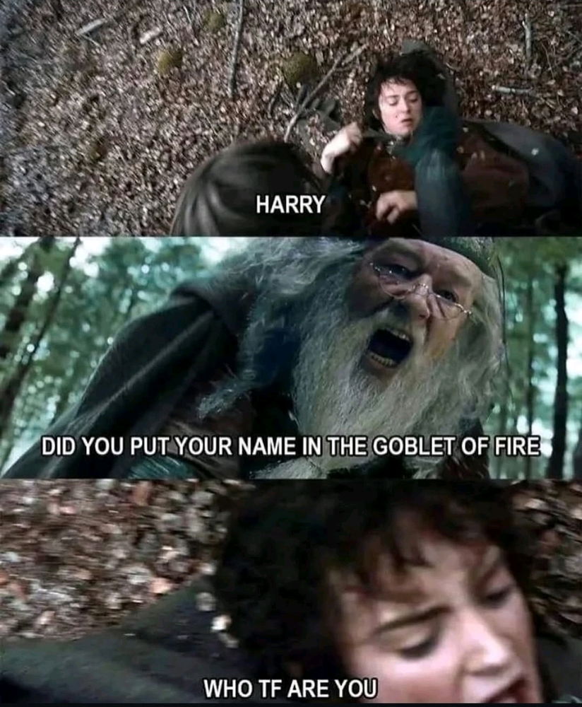 Dumbledore s'est perdu 🤷