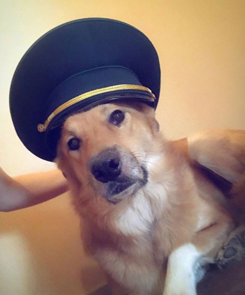 Ну что, с праздником вас!