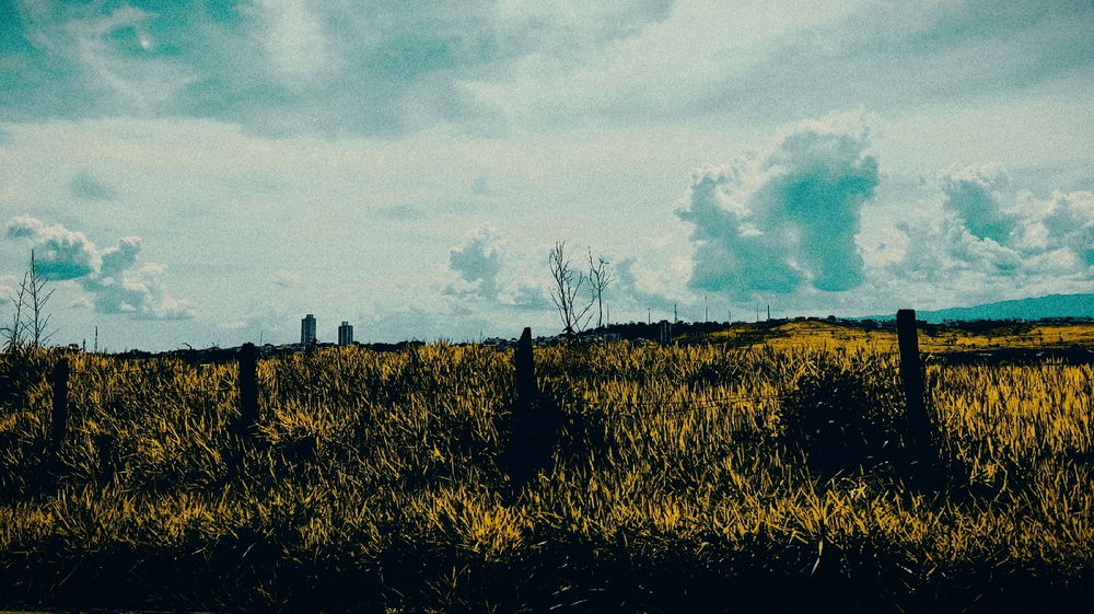 Blue and yellow
