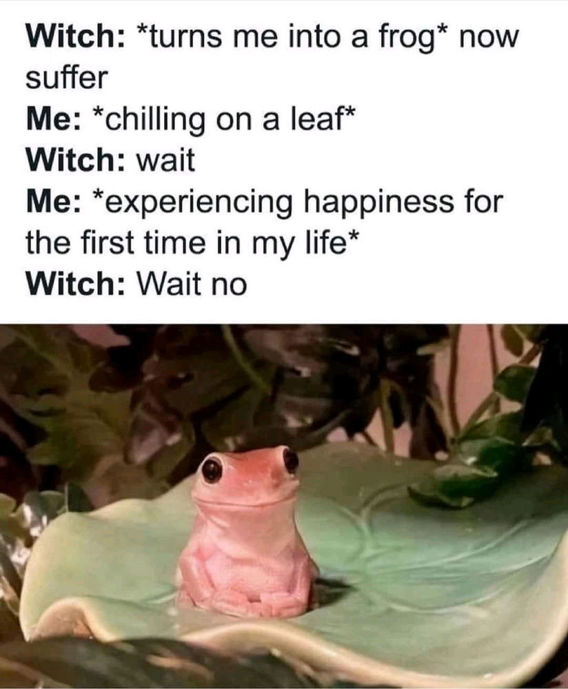 😅😅