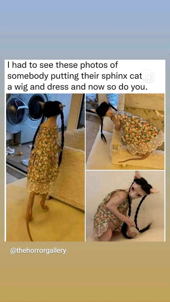Is it looking for a ring😅