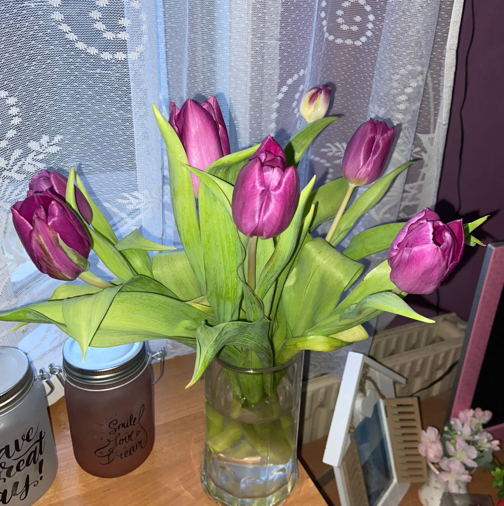 Máte rádi tulipány ??? 😊🥰🌷
