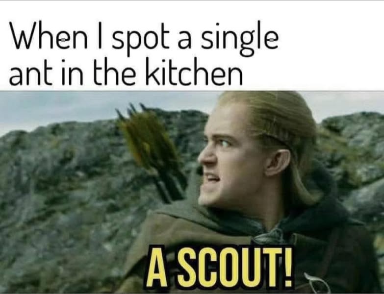 I say this everytime since I saw this meme many years ago.