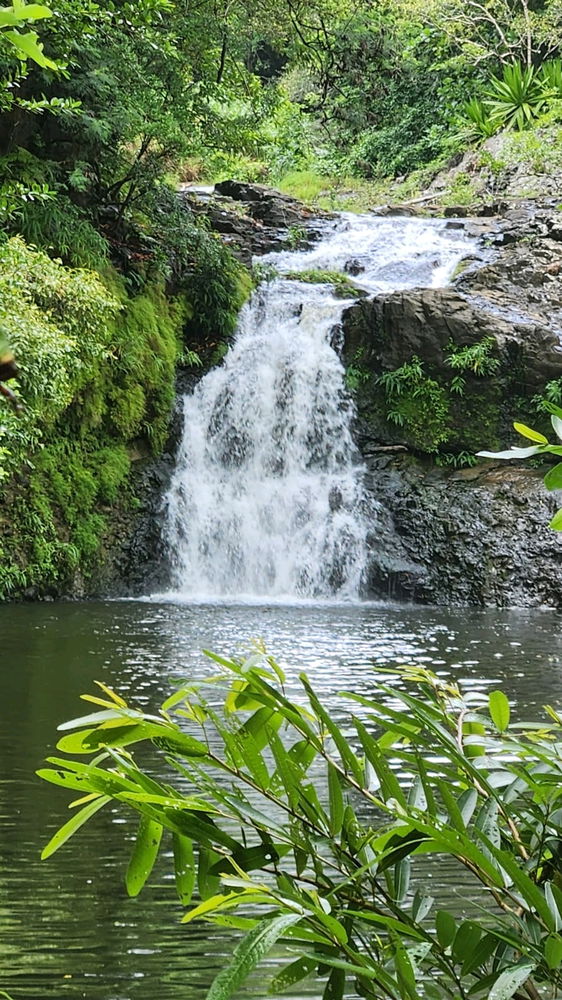 Hiking 🇲🇺🇲🇺🇲🇺
