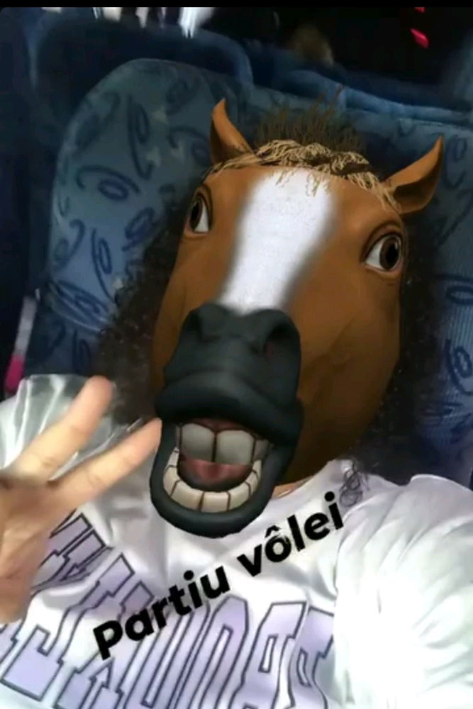 E o vôlei, partiu ?