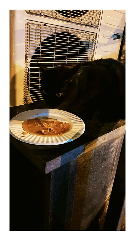 Місцева Марися 🐈‍⬛🖤