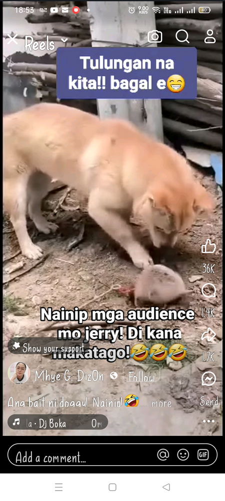 Phone.memory full🙆I hope I can share this video.