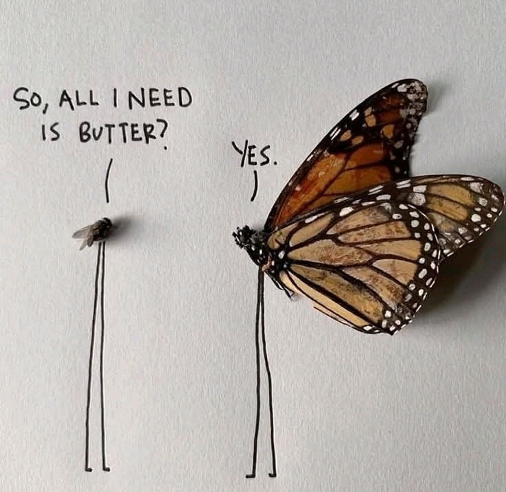 🦋