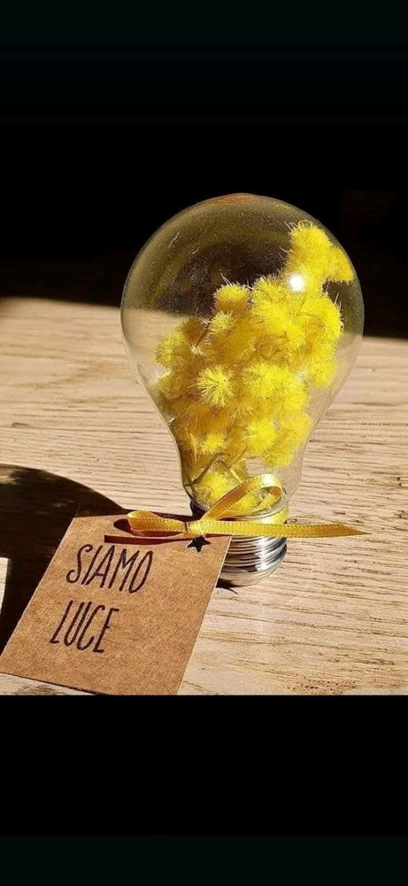 8 Marzo🌝🌞🌟💕💞💕