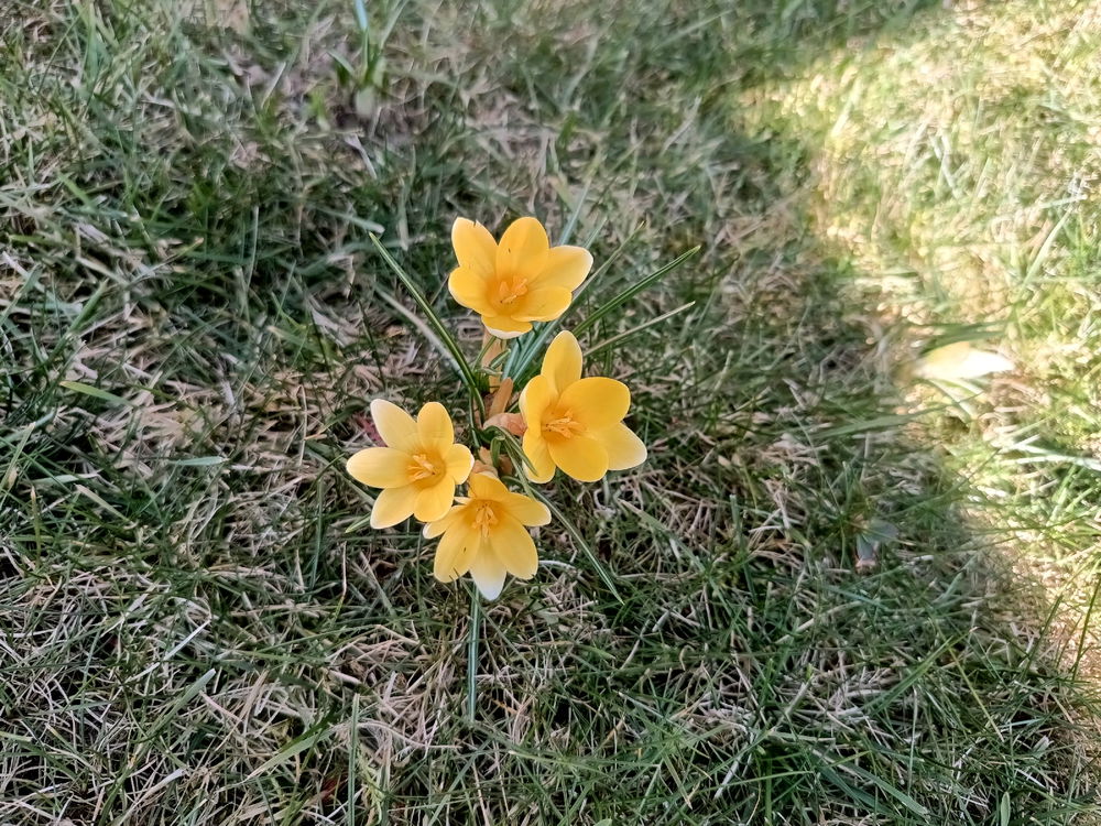 🥰