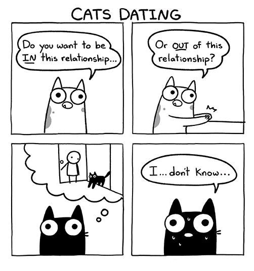🐾💕