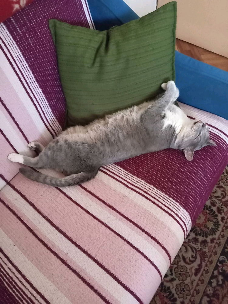 Cebe moje
