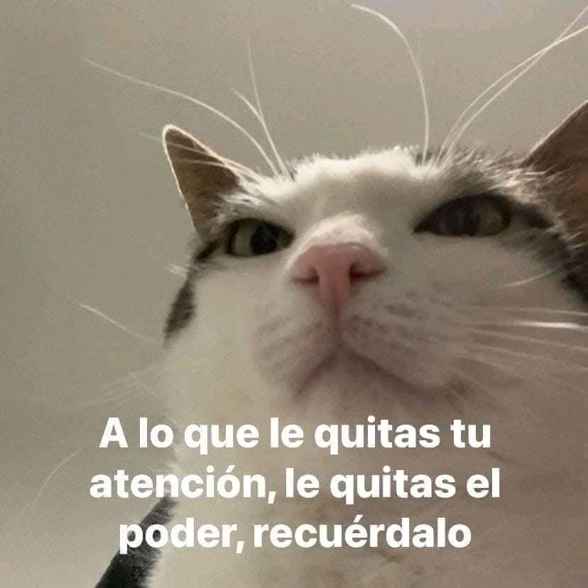 Cierto