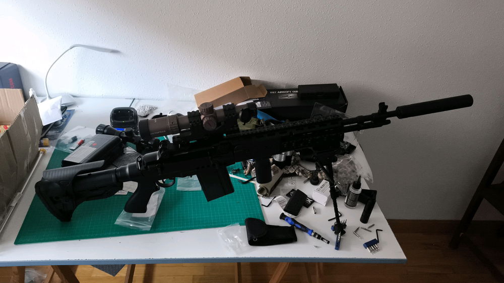 Mi nueva amiga la m14 EBR