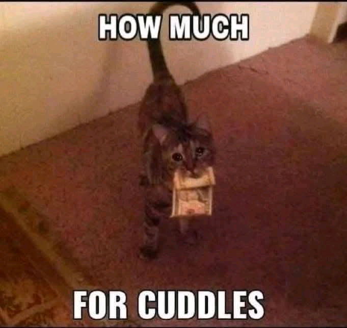 ☺️
