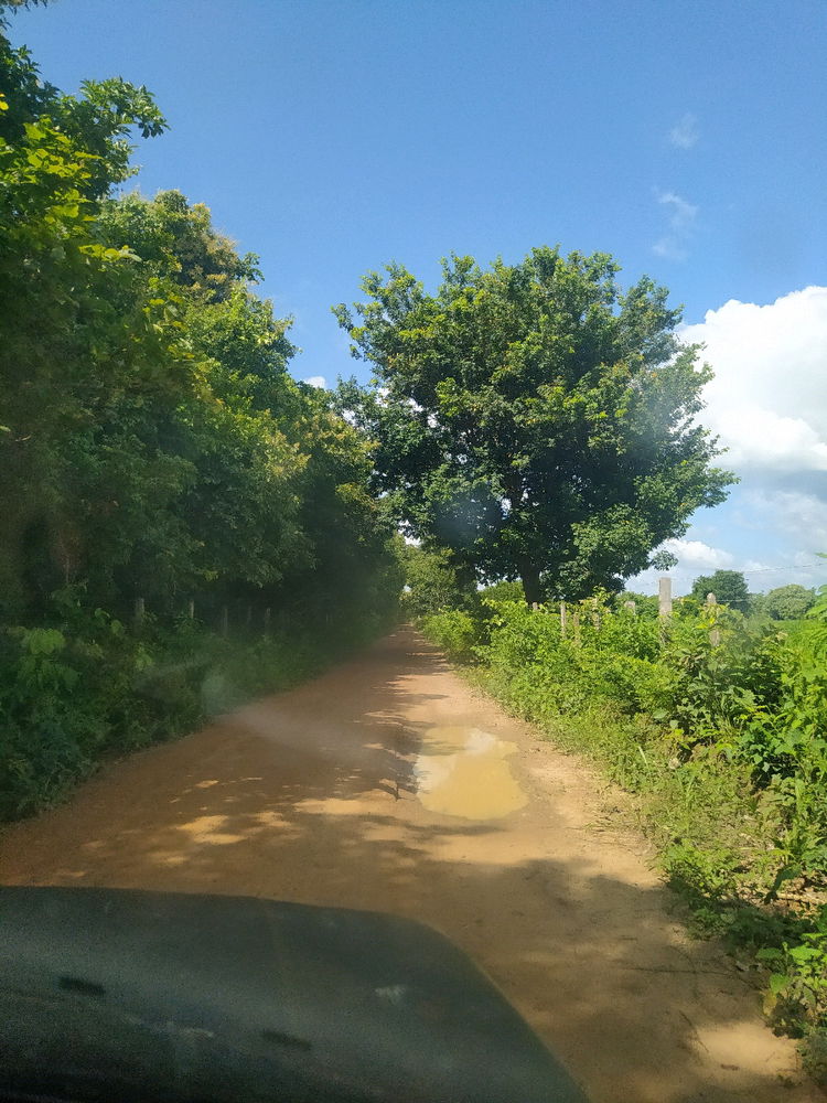 Achei bonito
