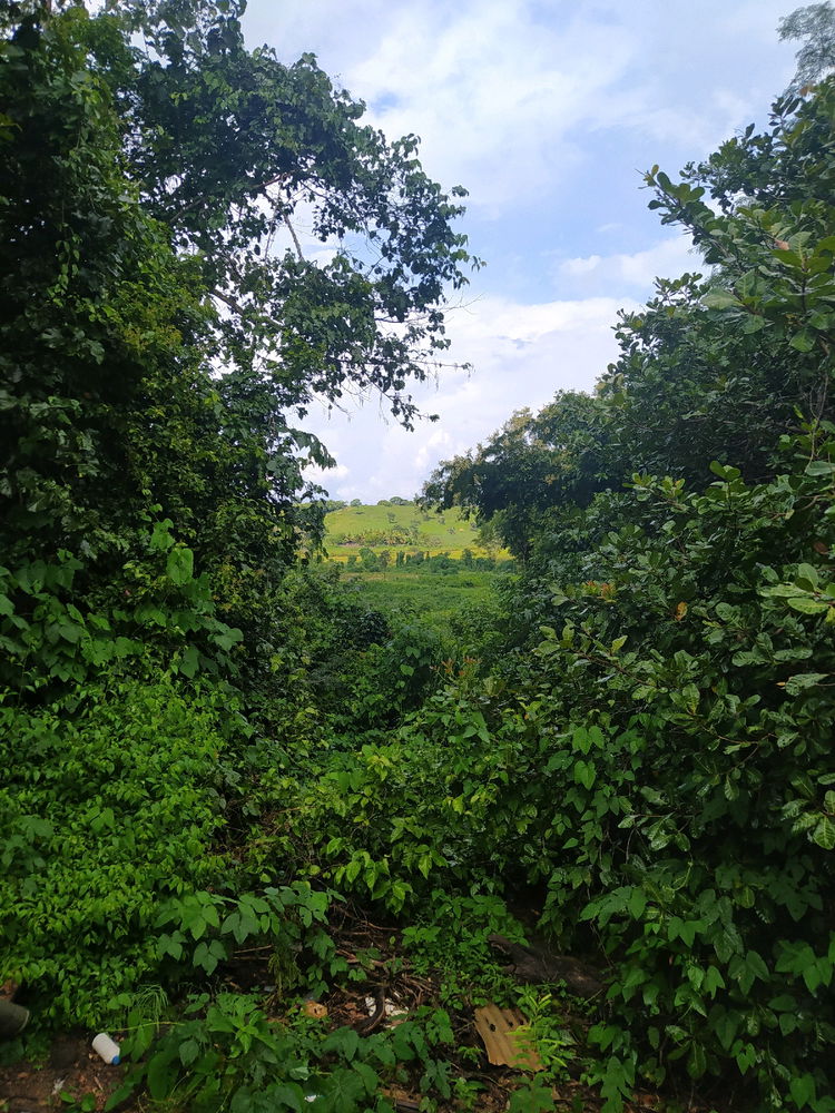 Achei bonito