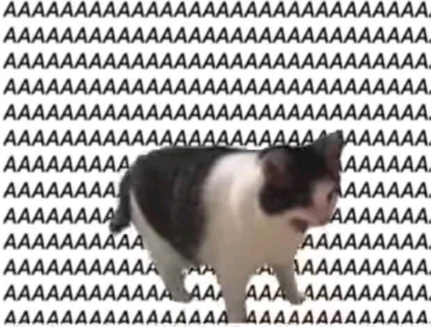 Universidad