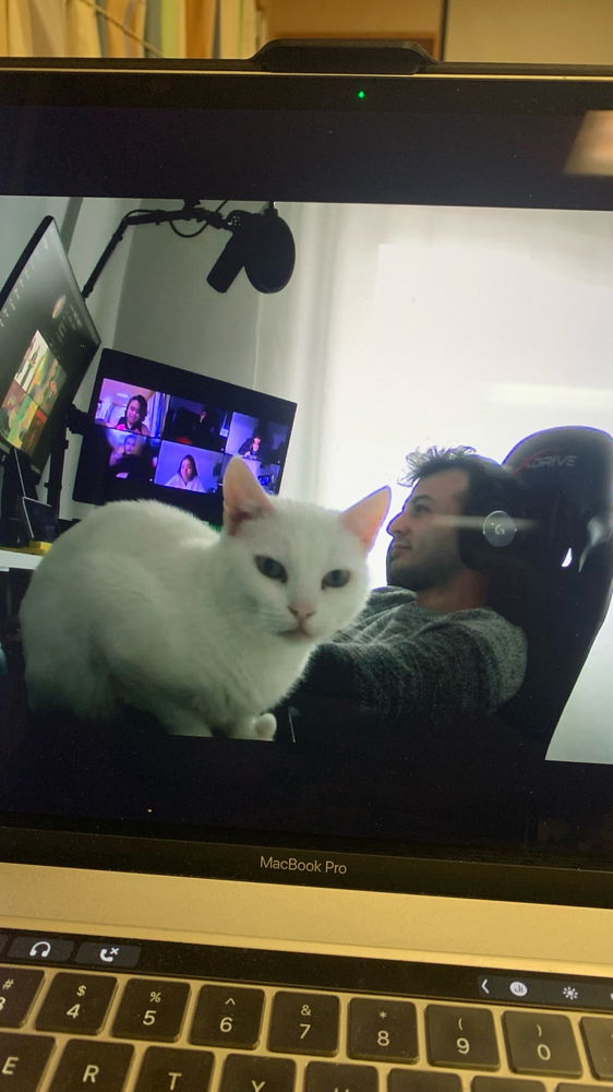 had a virtual #productivity session with a friend but his #cat took the spotlight ☺️🥰