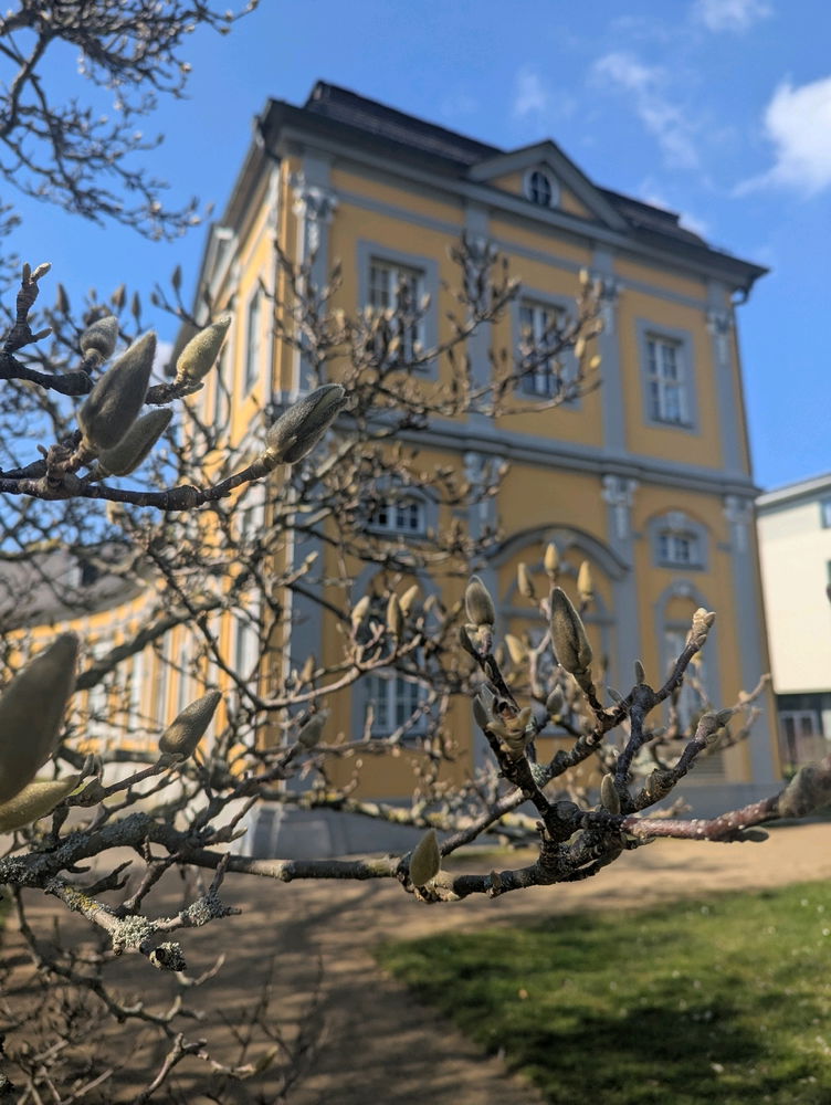 Frühling