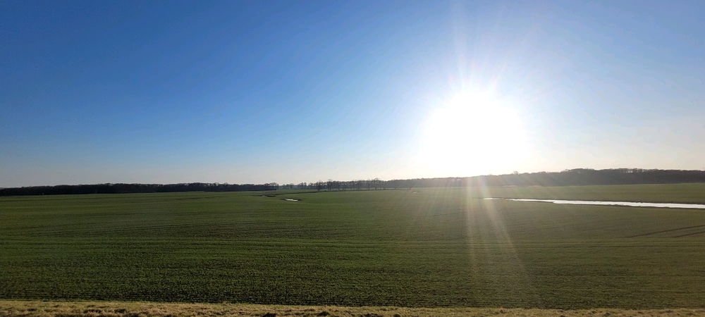 Przebiśniegi