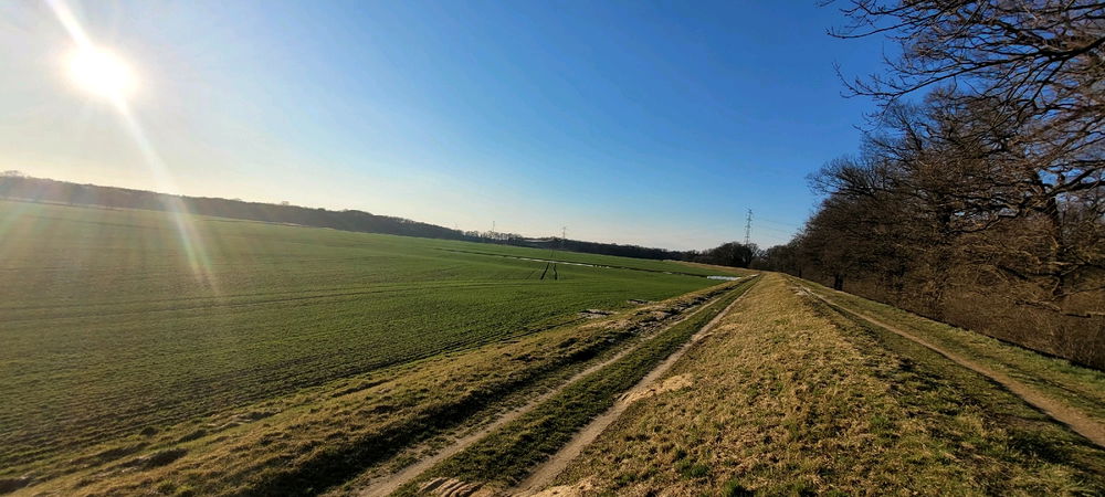 Przebiśniegi