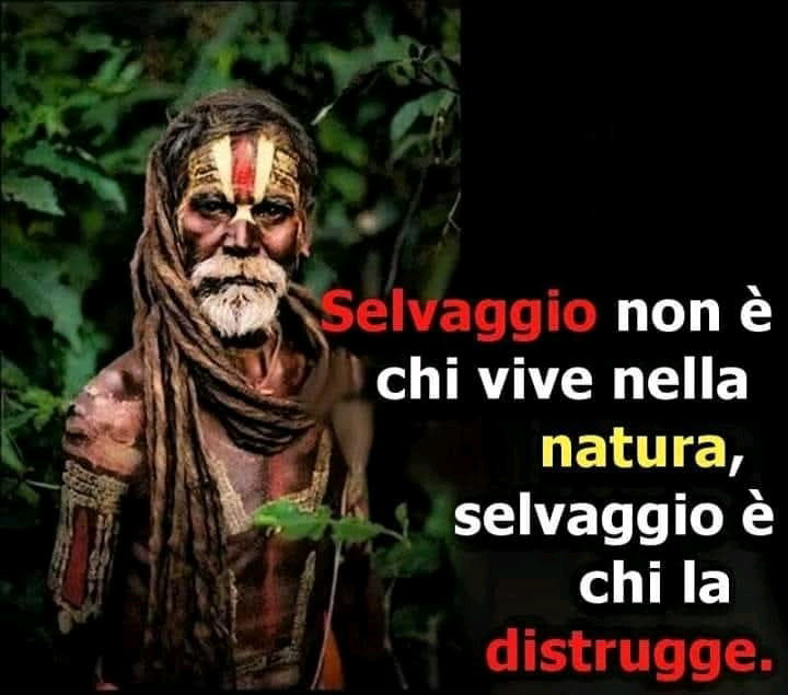 Selvaggi...