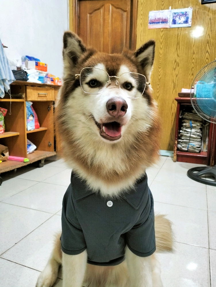 🐺