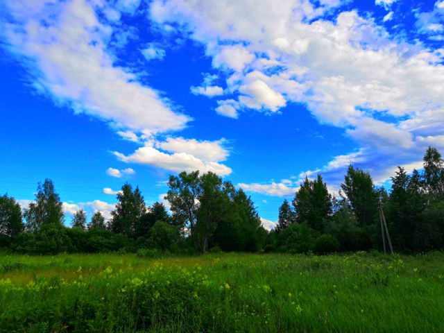 자연 🏞️🏞️🏞️