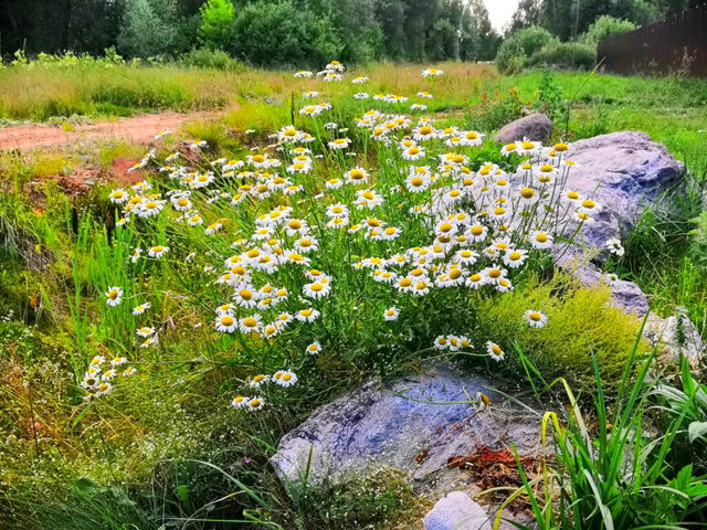 자연 🏞️🏞️🏞️