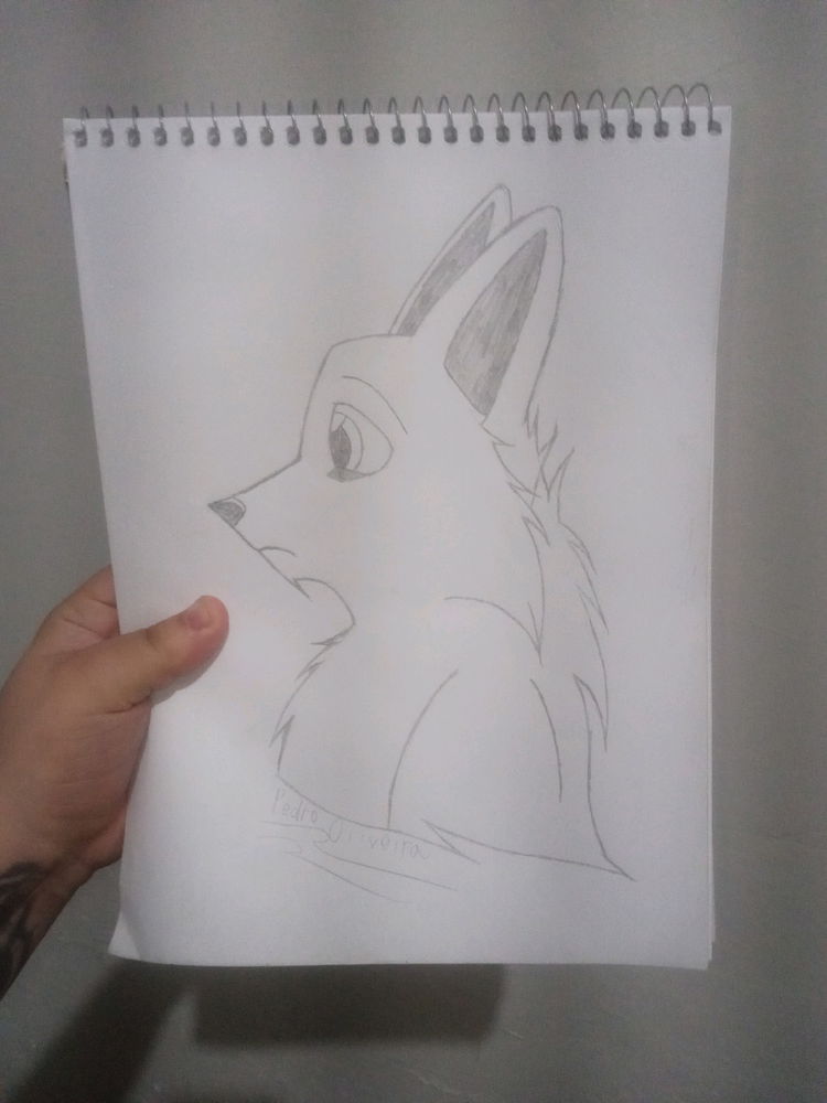 Primeiro desenho furry q faço 😁