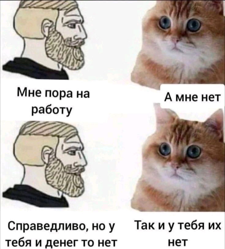 деньги любят меня, деньги меня не боятся, омм🧘‍♀️🧘‍♂️