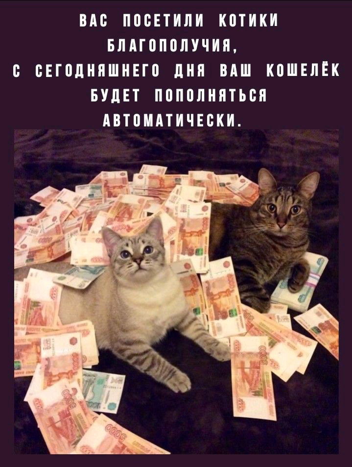 деньги любят меня, деньги меня не боятся, омм🧘‍♀️🧘‍♂️