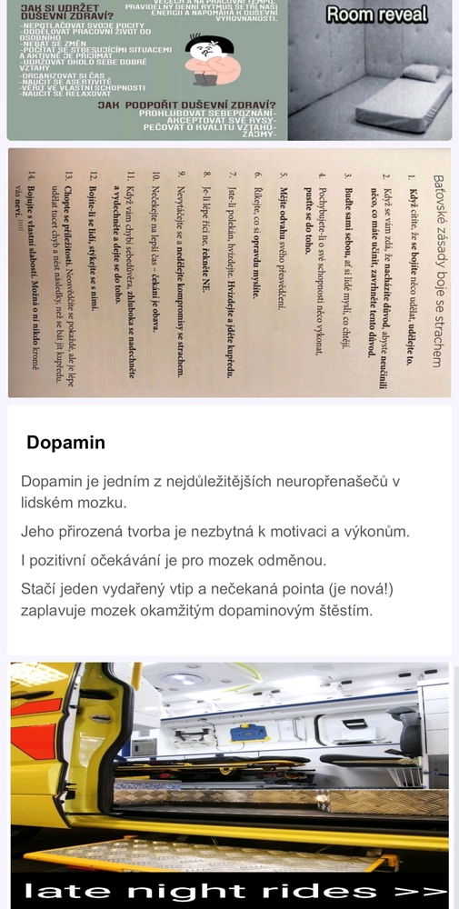 Moje prezentace do psychologie na libovolne tema